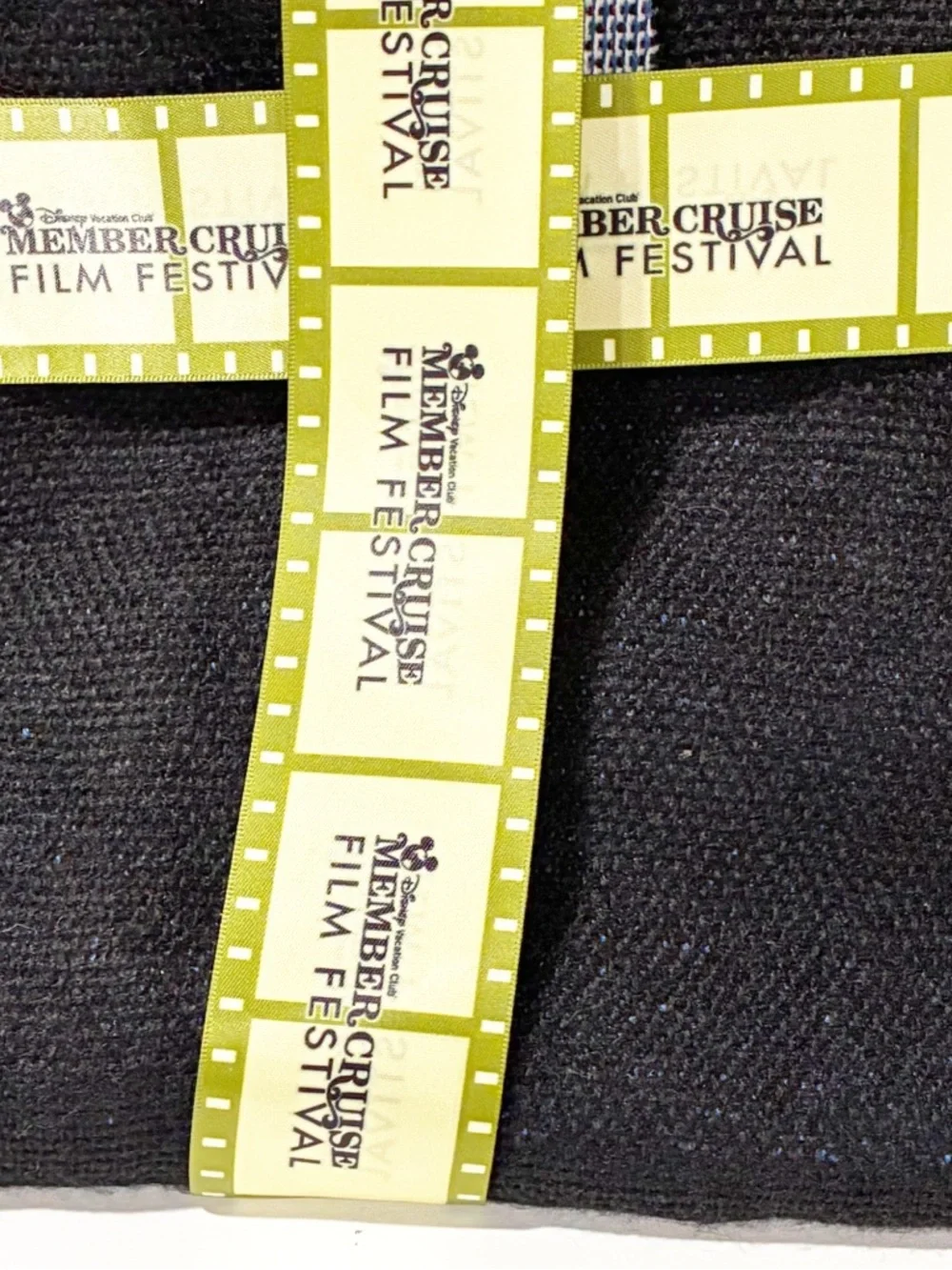 Film Festival Throw Blanket Disney Vacation Club DVC Member Cruise‎ 2017 NEW